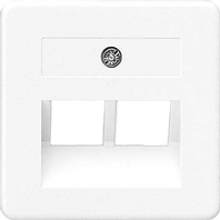 Zentralplatte f�r IAE/UAE-Dose 169-2 UAE WW