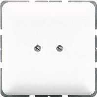 Cover plate for Blind plate cream white 561 B