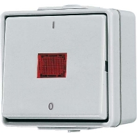 2-pole switch surface mounted grey 602 KOW