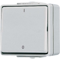 2-pole switch surface mounted grey 602 W