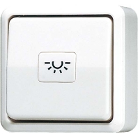 Push button 1 change-over contact white 633 A WW