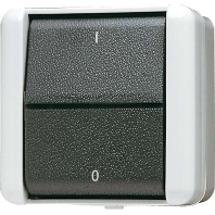 3-pole switch surface mounted grey 803 W