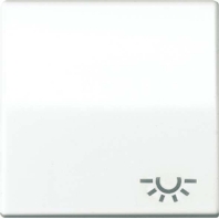 Wippe Symbol LICHT ws f�r Schalter/Taster ABAS 591 L