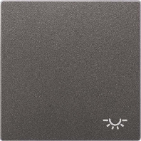 Wippe Symbol LICHT anth f�r Taster AL 2990 L AN