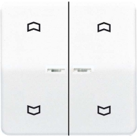 Wippe Symbole/Lichtl.aws f�r Taster AS 591-5 KO5MP WW