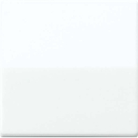 Wippe aws f�r Schalter/Taster AS 591 BFS WW