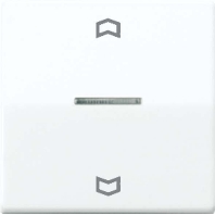 Wippe Symbole/Lichtl.aws f�r Taster AS 591 KO5P WW