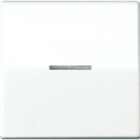 Wippe Lichtleiter ws f�r Schalter/Taster AS 591 KO5 BF