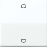 Wippe Symbole ws f�r Taster AS 591 P