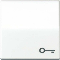 Wippe Symbol T�R ws f�r Taster AS 591 T