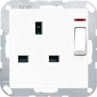 Socket outlet (receptacle) A 3171 KO AL