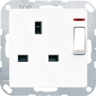 Socket outlet (receptacle) A 3171 KO WW