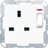 Steckdose 13A 250V 2-pol. A 3171 KO WW