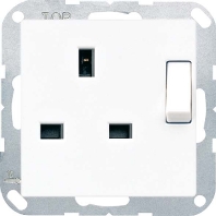 Steckdose 13A 250V 2-pol. A 3171 WW