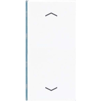 Taste 2-fach aws mit Symbolen A 402 TSAP WW