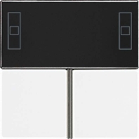 Tastensatz alu komplett A 4093 TSA AL