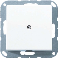 Basic element with central cover plate A 590 A CH