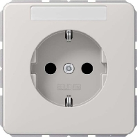 Socket outlet (receptacle) CD 1520 NA LG
