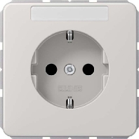SCHUKO-Steckdose 16A�250V mit Schriftfeld CD 1520 NA LG