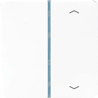 Taste 1-fach aws Symbol Auf/Ab CD 401 TSAP WW