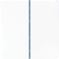 Tastensatz 1-fach aws komplett CD 401 TSA WW
