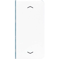 Taste 2-fach aws Symbol Auf/Ab CD 402 TSAP WW