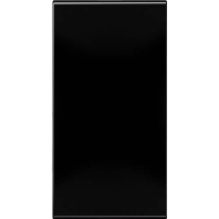 Abdeckung in Tastenfarbe 33x66mm CD 50NASW