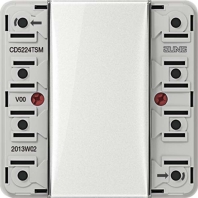 Tastsensor-Modul 2fach AC/DC24V 2-k. 4Sp. CD 5224 TSM