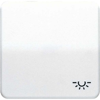 Wippe Symbol LICHT aws f�r Taster CD 590 BFL WW