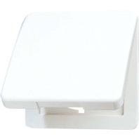 Klappdeckel gold brz m.Abdeckung 50x50mm CD 590 KL GB