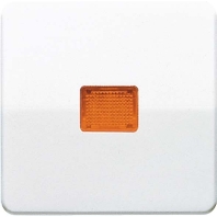 Wippe Lichtfenster br f�r Schalter/Taster CD 590 KOBF BR