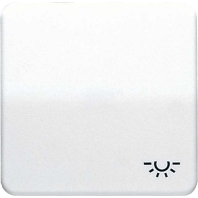 Wippe Symbol LICHT ws f�r Taster CD 590 L
