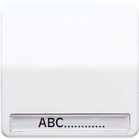 Wippe Schriftfeld aws f�r Schalter/Taster CD 590 NABF WW