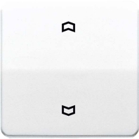 Wippe Symbole ws f�r Taster CD 590 P