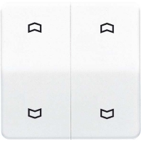 Wippe Symbole ws f�r Taster 2-fach CD 595 MP