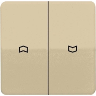 Wippe Symbole gold brz fr Taster CD 595 P GB