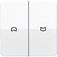 Wippe Symbole lgr f�r Taster CD 595 P LG
