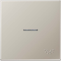 Wippe gepr�gtes Symbol Licht edelstahl ES 2990 KO5 LP