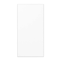 Abdeckung in Tastenfarbe 33x70,5mm LS 50NAWW