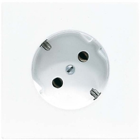 SCHUKO-Steckdose aws 16A 250V 45Grad LS 520-45 WW