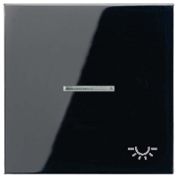 Wippe Sym.LICHT/Lichtl.sw f�r beleuchtb.Taster LS 990 KO5L SW