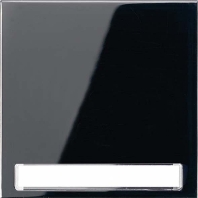 Wippe Schriftfeld sw f�r Taster LS 990 NA SW