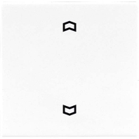 Wippe Symbole ws f�r Taster LS 990 P