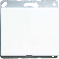 Basic element with central cover plate SL 590 A WW