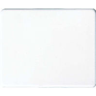 Cover plate for switch/push button SL 590 GB