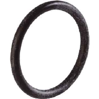 O-ring 1011.00.08