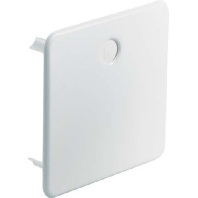 Cover for flush mounted box square 9909.12