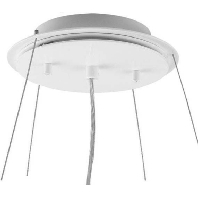 Plug/clamp for luminaires L 75/1500 DIM ws