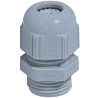 Cable gland / core connector STR Pg16 R7001 SGY