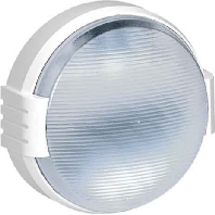 Feuchtraum-Leuchte 100W Gl�hlampen E27 62425